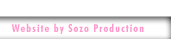 Visit the Sozo website